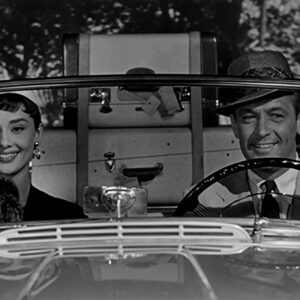 麗しのサブリナ写真2